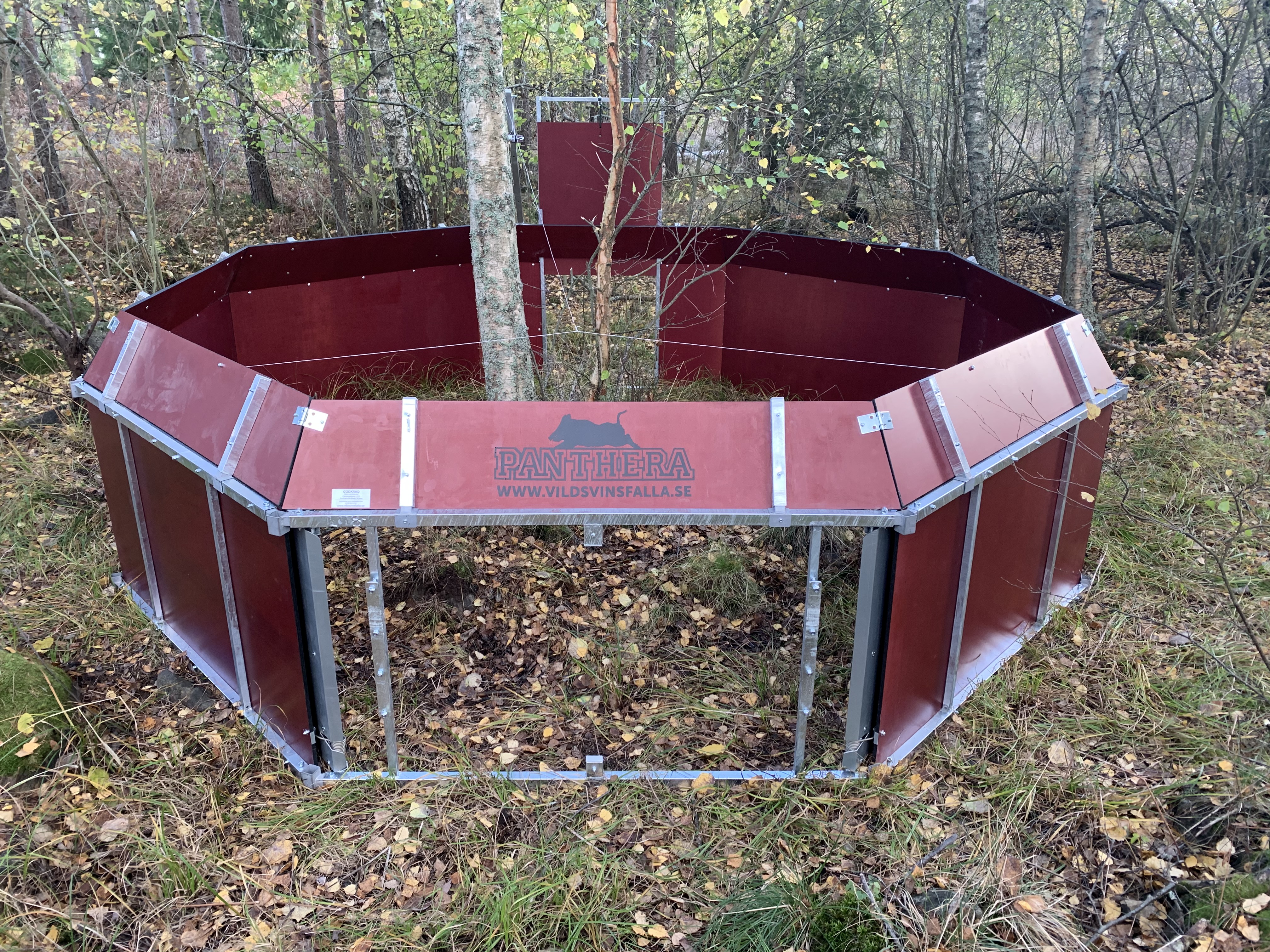 vildsvinsfalla multitrap